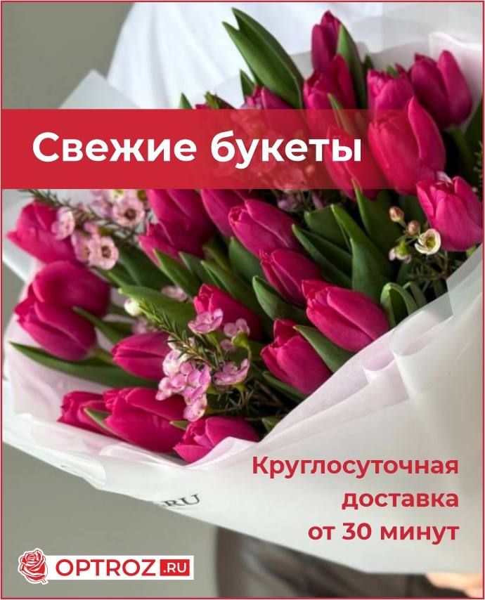 OPTROZ.RU