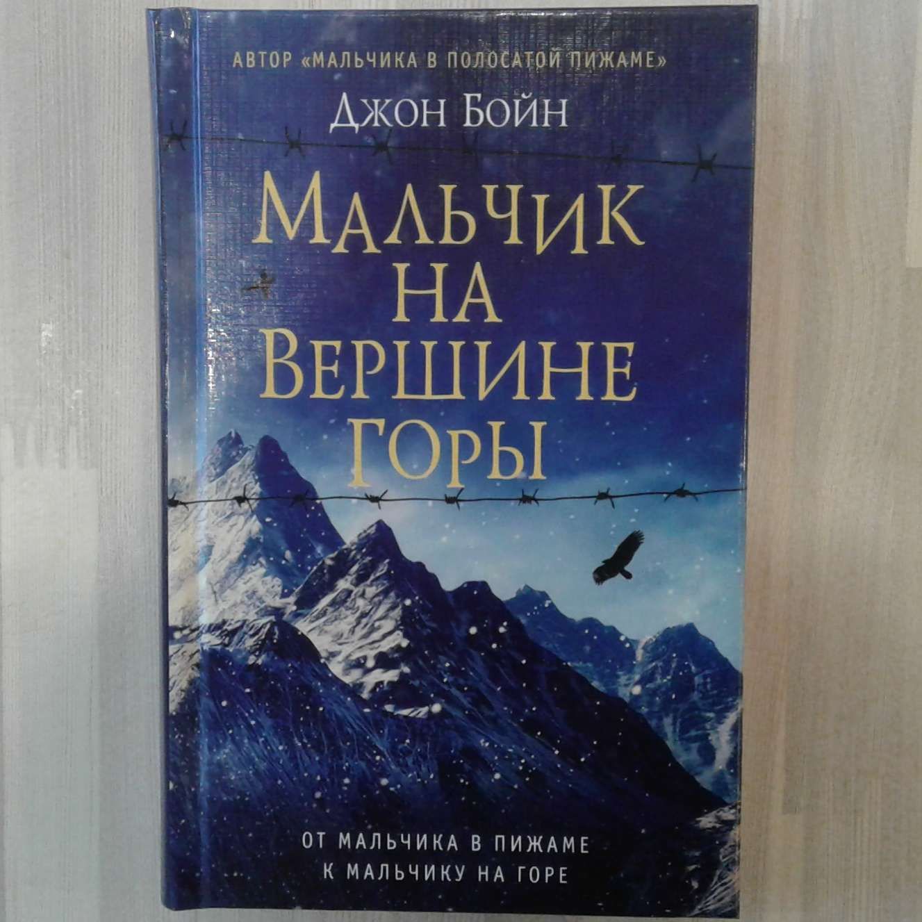 мальчик на вершине горы джон бойн. джон бойн похититель вечности. мальчик на горе книга джон бойн. мальчик на вершине горы книга. джон бойн мальчик на вершине горы.