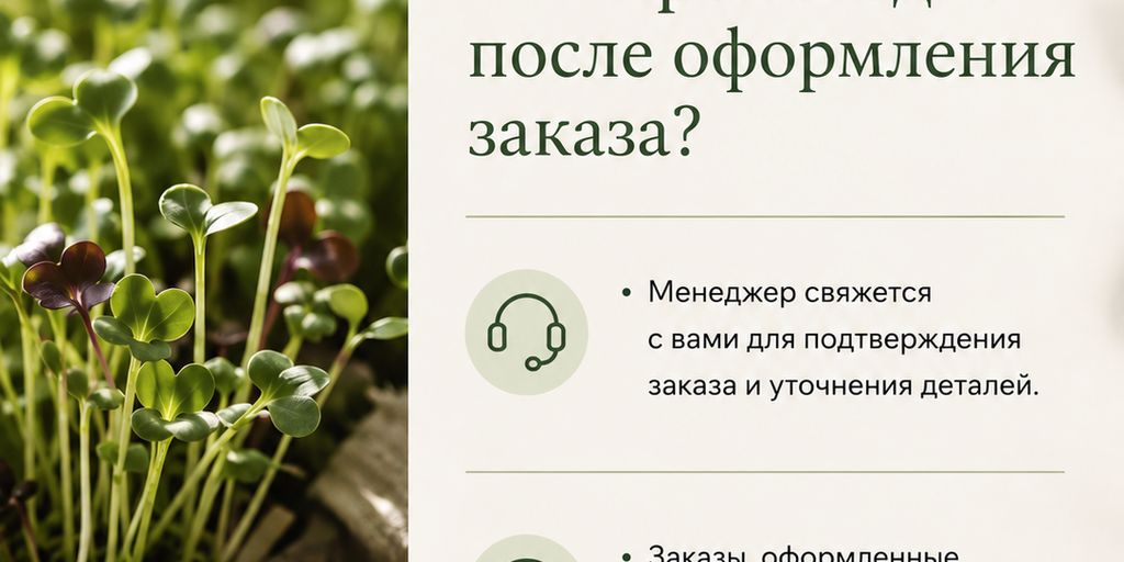 Проростки