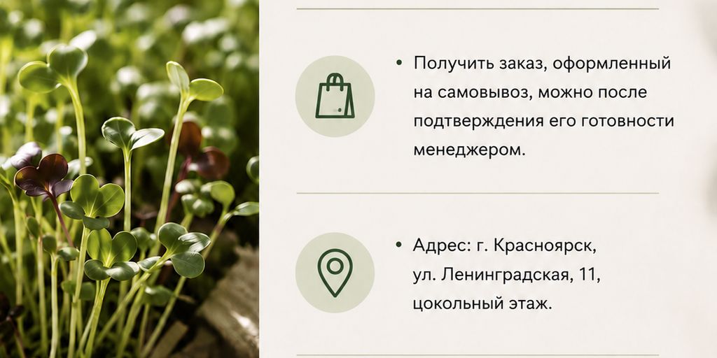 Проростки