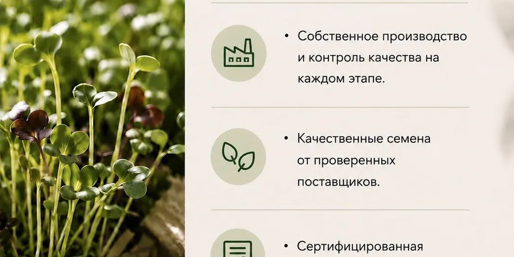 Проростки