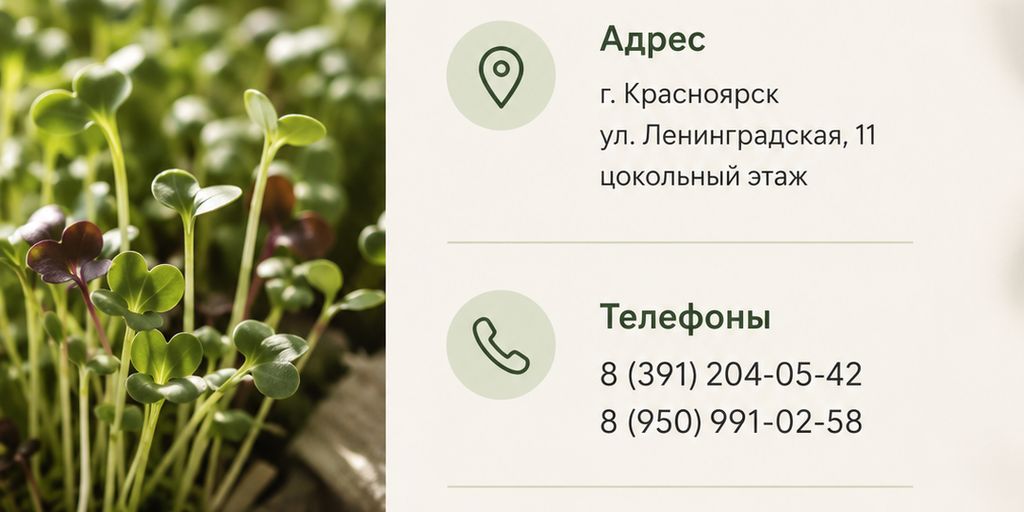 Проростки