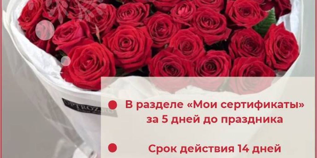 OPTROZ.RU