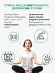 №16 "Антистресс", 10 мл