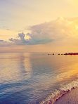 Сеанс ЛитоАроматерапии