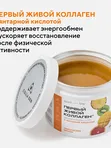 ЖИВОЙ КОЛЛАГЕН СПОРТ с янтарной кислотой вкус тропических фруктов 500 г.(Курс 1,5 месяца)