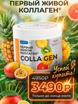 ЖИВОЙ КОЛЛАГЕН СПОРТ с янтарной кислотой вкус тропических фруктов 500 г.(Курс 1,5 месяца)