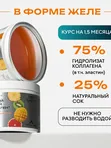 ЖИВОЙ КОЛЛАГЕН СПОРТ с янтарной кислотой вкус тропических фруктов 500 г.(Курс 1,5 месяца)