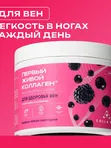 ЖИВОЙ КОЛЛАГЕН Ежевика-Смородина ДЛЯ ВЕН с Конским Каштаном 500 г. (Курс 1,5 месяца)