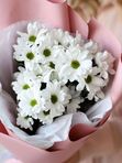 СТОЙКИЙ БУКЕТ из 3 кустовых хризантем