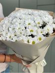 БУКЕТ из 15 кустовых хризантем ромашка