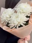 БУКЕТ из 3 хризантем Антонов