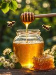 🍯 Настоящий башкирский мёд прямо с фермы «Клубника Шаран»! Свежая откачка, натуральный вкус, без посредников. От 0,5 до 50 л. Самая популярная фасовка — 3 л. Доставка и самовывоз.