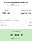 Саженцы Земляники "Джоли" — 250 шт