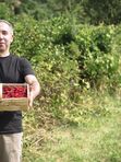 Саженцы красной смородины. Заказ от 1000 р.