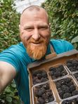 Саженцы Ежевики. Заказ от 1000 р. Ежевика — сладкий урожай, который хочется собирать снова и снова