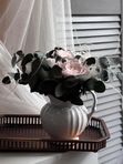 Композиция из стабилизированных цветов