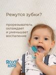 Прорезыватель охлаждающий Цыпленок ROXY-KIDS (4мес+)
