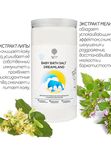 Соль магниевая с липой и мелиссой 1020 г Salt of the Earth (0+)