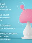 Прорезыватель Грибочек с держателем в футляре розовый  (0+) ROXY-KIDS