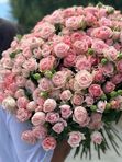 WOW- букет из 101 кустовой розы