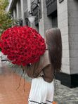 101 роза Эквадор под ленту