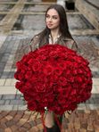 101 роза Эквадор под ленту