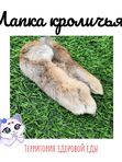 Лапка кроличья для кошек (Игрушка- лакомство), 1 шт