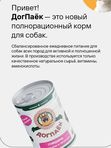 Влажный корм ДогПаёк Кусочки в паштете