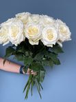 Белая Роза «Кендилайт» 70см