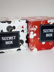 Secret Box [Small]