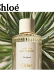 C-025 по мотивам Cedrus Chloé (unisex)
