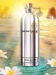 M-035 По мотивам Soleil de Capri Montale (unisex)