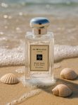 J-010  по мотивам Jo Malone - Wood Sage & Sea Salt Cologne (unisex)
