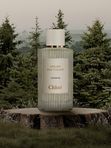 C-025 по мотивам Cedrus Chloé (unisex)