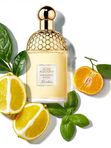 Автопарфюм  G-011 по мотивам Guerlain Aqua Allegoria Mandarine Basilic (women)