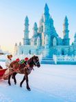 Новый год в Китае!