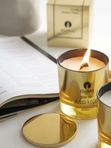 Arabian Nights DUBAI PARFUM