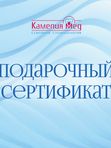 Сертификат 1 «Профилактика + диагностика»