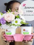 Доброе утро
