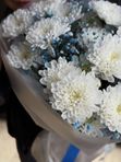 Воздушное облако