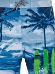 Плавки WAVEBREAKER  56209 Шорти-пляж