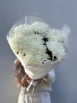 Моно букет из 7 белоснежных сортовых хризантем