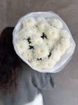 Моно букет белоснежных хризантем /5шт.