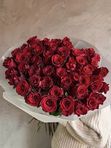 Комбо-набор: 51 красная Роза + набор шаров (3шт)