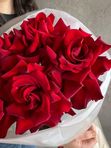 5 красных французских роз