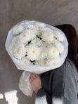 Моно букет белоснежных хризантем /5шт.