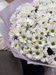 Монобукет из 25 веточек ромашковых хризантем