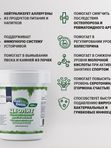 Цеолит пищевой 200 грамм в упаковке, профилактический курс (1 месяц)
