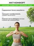 Цеолит пищевой в саше 80 шт по 5 грамм, 400 грамм